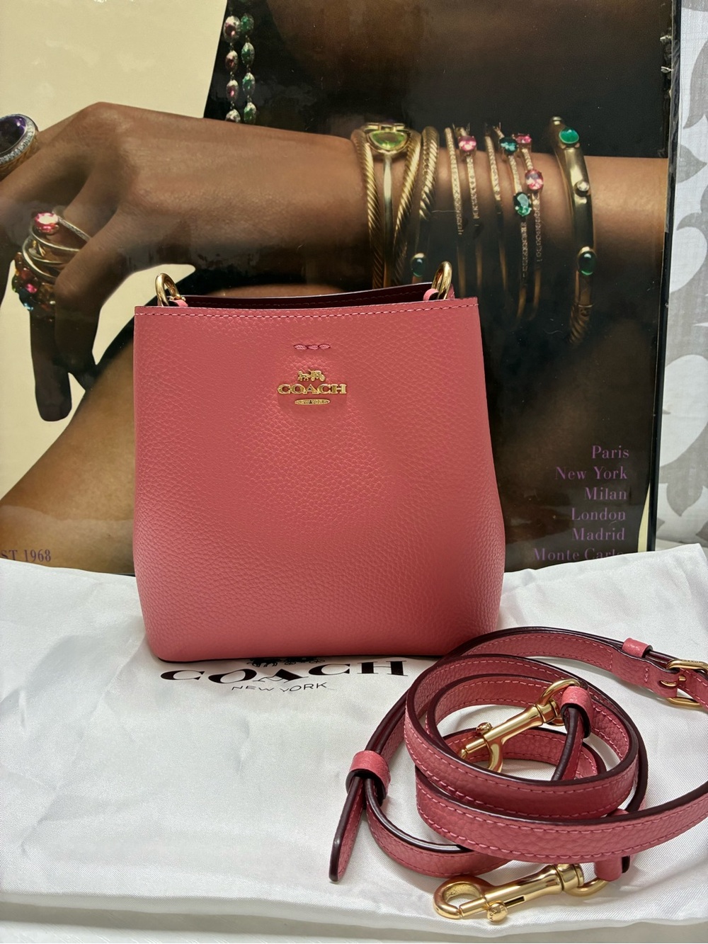 Coach Small Town Bucket Bag - Picture 1 of 7